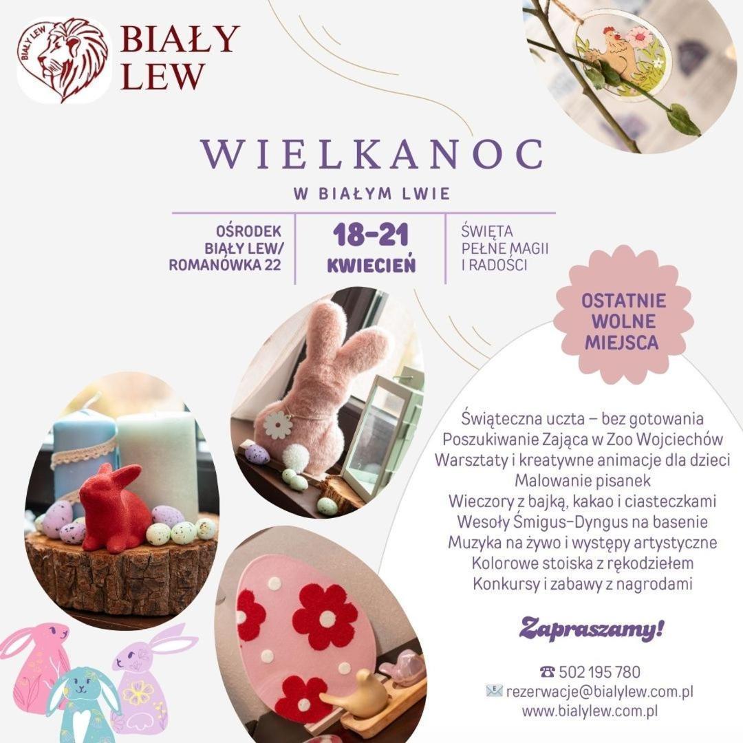 Osrodek Bialy Lew Bed & Breakfast Wojciechow  Ngoại thất bức ảnh